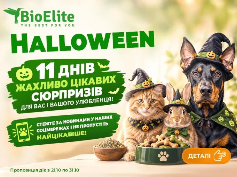 🎃 Halloween у BioElite: знайди чорного кота, лови знижки та вигравай подарунки!