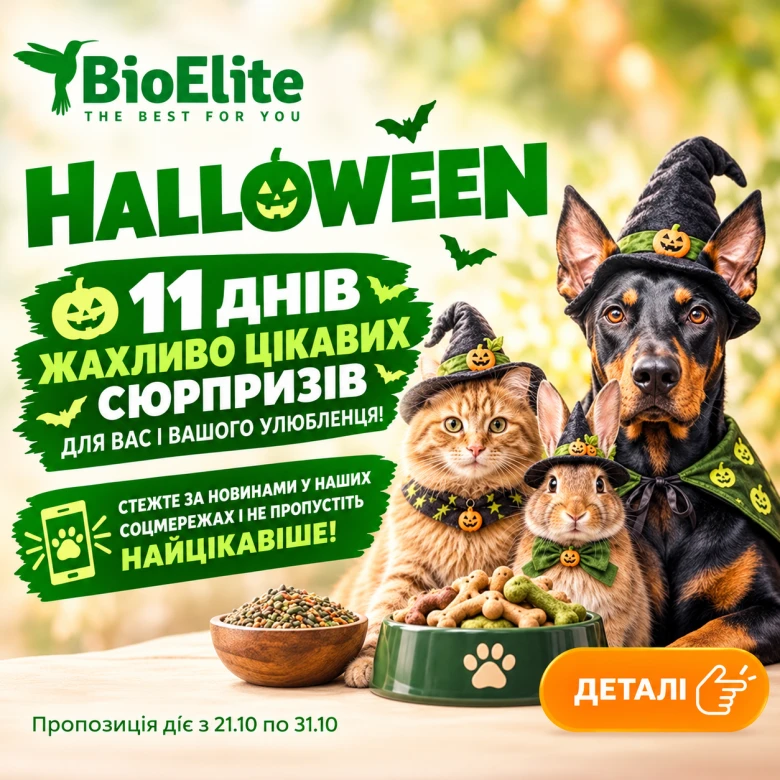 🎃 Halloween у BioElite: знайди чорного кота, лови знижки та вигравай подарунки!