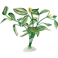 FERPLAST BLU 9080 Gymnocoronis Шовкова декоративна рослина для акваріума