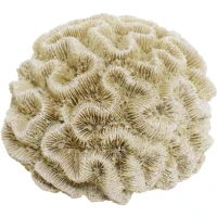 NOBBY Декорація для акваріума "Корал"