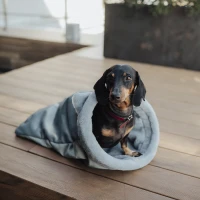 HAPPYPEPPY Петбед Peek-a-Boo Лежанка для собак