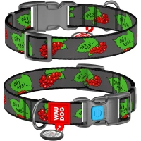 COLLAR WAUDOG Nylon Ошейник для собак с QR паспортом "Калина"