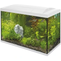 SUPERFISH Start 70 Aquarium Kit (A4050285) Акваріумний стартовий набір