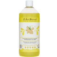 IV SAN BERNARD Frutta Ginger and Elderberry Дезінфікуючий шампунь для котів та собак (з бузиною та імбиром)