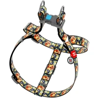 COLLAR WAUDOG Nylon Шлея для собак "Гламурні черепи"