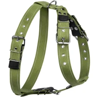 COLLAR Шлея для собак