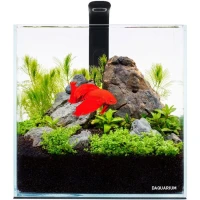 COLLAR Pico Set Акварiумний набiр