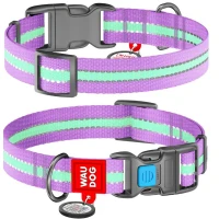 COLLAR WAUDOG Nylon L Светонакопительный ошейник для собак с QR-паспортом