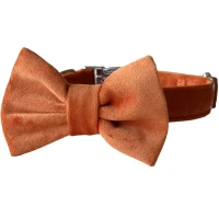 HARLEY AND CHO Нашийник-метелик для собак