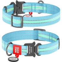 COLLAR WAUDOG Nylon XL Світлонакопичувальний нашийник для собак з QR-паспортом