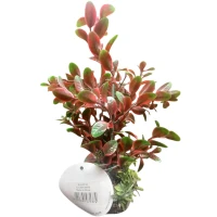 FERPLAST BLU 9104 Plastic Plant 8 Декорація для акваріума