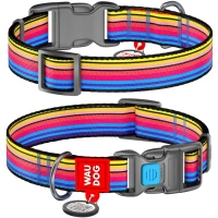 COLLAR WAUDOG Nylon Нашийник для собак з QR-паспортом "Лінія 1"