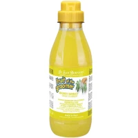 IV SAN BERNARD Ginger and Elderberry Дезінфікуючий шампунь для котів та собак (з бузиною та імбиром)