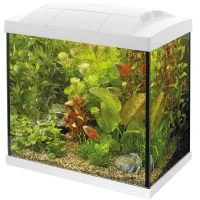 SUPERFISH Start 50 Aquarium Kit (A4050281) Акваріумний стартовий набір