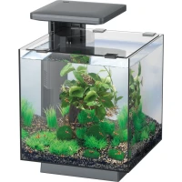 SUPERFISH QubiQ 15 LED Акваріумний набір