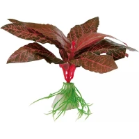 FERPLAST BLU 9075 Althernanthera Шовкова декоративна рослина для акваріума