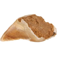 TRIXIE Ласощі для собак Копито жувальне з начинкою (яловичина)