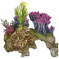 NOBBY Декорація для акваріума "Корал на камені"