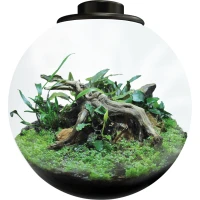BIOART Bowl 225 Акваріумний набір