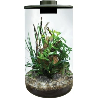 BIOART Cylinder 285 Акваріумний набір