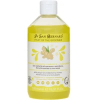 IV SAN BERNARD Frutta Ginger and Elderberry Дезінфікуючий шампунь для котів та собак (з бузиною та імбиром)