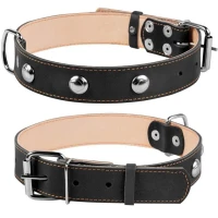 COLLAR Нашийник для собак