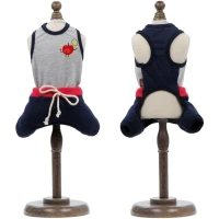 PET FASHION "Яблуко" Костюм для собак