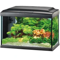 FERPLAST Cayman 60 LED Profess Акваріум з LED-освітленням та комплектом обладнання
