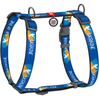 COLLAR WAUDOG Nylon H-подібна шлея для собак з QR-паспортом "Прапор"