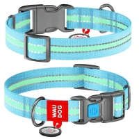 COLLAR WAUDOG Nylon XL Світлонакопичувальний нашийник для собак з QR-паспортом