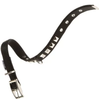 FERPLAST Dual CF20/43 PI Нашийник для собак
