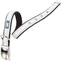 FERPLAST Dual CF Colours White Нашийник для собак
