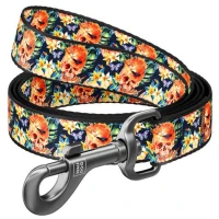 COLLAR WAUDOG Nylon M Повідець для собак "Гламурні черепи"
