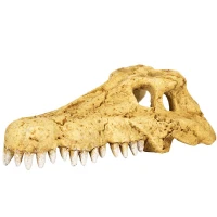 REPTI-ZOO Crocodile Skull Крокодилячий череп для тераріумів та акваріумів