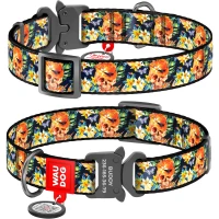 COLLAR WAUDOG Nylon M Нашийник для собак з QR-паспортом "Гламурні черепи"