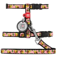 COLLAR WAUDOG Nylon Шлея с поводком для котов и мелких пород собак с QR паспортом «Авокадо»