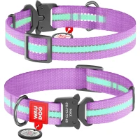 COLLAR WAUDOG Nylon Світлонакопичувальний нашийник для собак з QR-паспортом