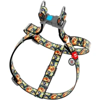 COLLAR WAUDOG Nylon Шлея для собак "Гламурні черепи"