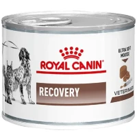 ROYAL CANIN Recovery Вологий корм для дорослих собак та котів