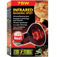 EXO TERRA Infrared Basking Spot 75W Лампа інфрачервона для тераріуму