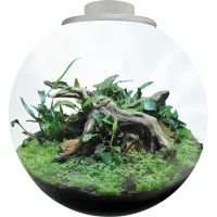 BIOART Bowl 225 Акваріумний набір