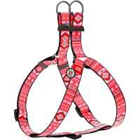 COLLAR WAUDOG Nylon Шлея для собак з QR паспортом "Етно"